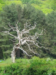 A roadside piece of art