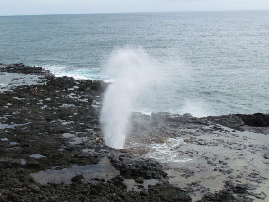 Spouting Horn Blow Hole