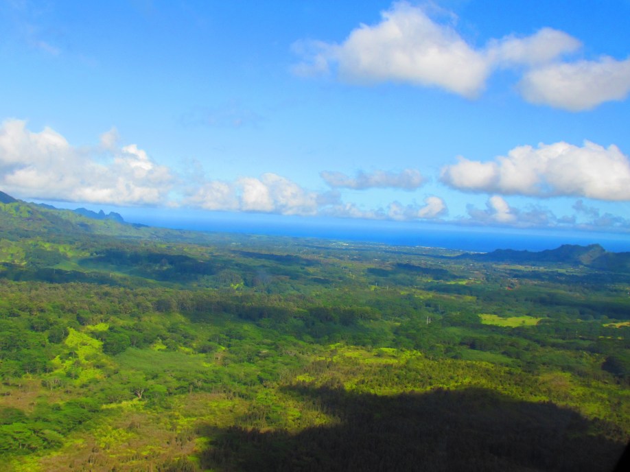 Vista of Kauai