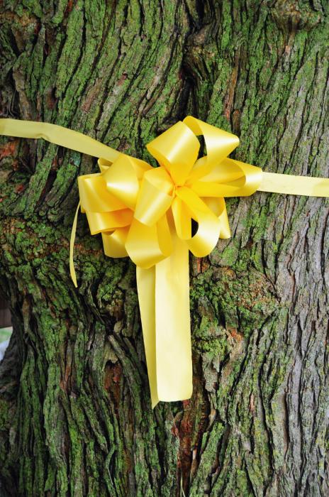 Yellow ribbon around oak