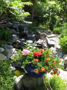 Kelowna garden 