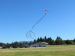 Stunt kites at Parksville 