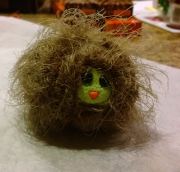 Hairy haggis